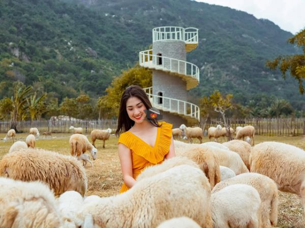 Nha Trang To Sheep Farm And Vineyard Day Tour